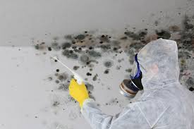 Best Environmental Consulting for Mold Prevention  in Marietta, GA